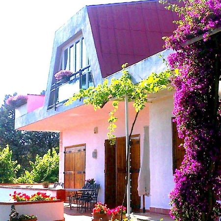 Bed And Breakfast Aloisio San Gregorio di Catania Kültér fotó